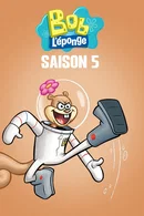 Affiche de Saison 5