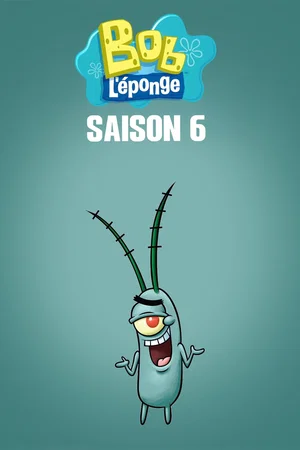 Affiche de Saison 6