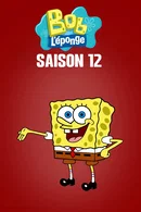 Affiche de Saison 12