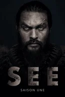 Affiche de Saison 1