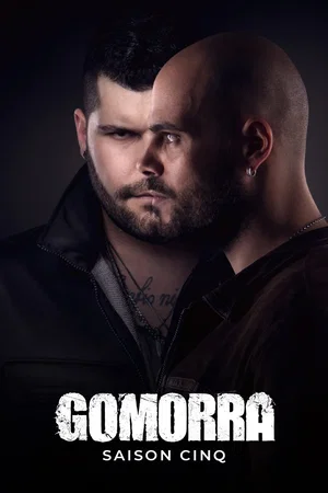 Affiche de Saison 5