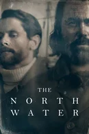 Affiche de Saison 1