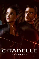 Affiche de Saison 1