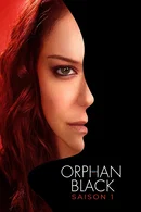Affiche de Saison 1