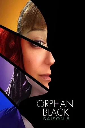 Affiche de Saison 5