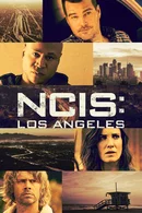Affiche de Saison 13