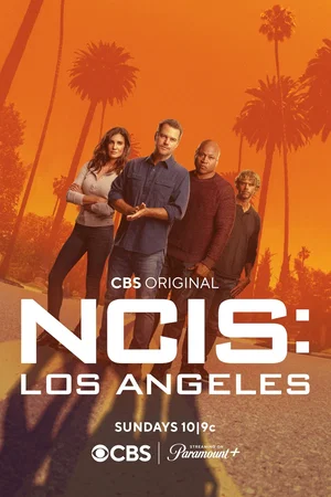 Affiche de Saison 14