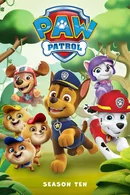 Affiche de Saison 10