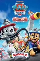 Affiche de Saison 12