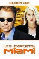 Affiche de Saison 1