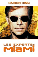 Affiche de Saison 5