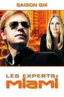 Affiche de Saison 6