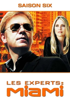 Affiche de Saison 6