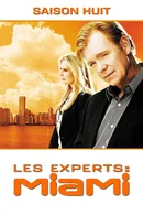 Affiche de Saison 8