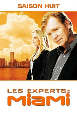 Affiche de Saison 8
