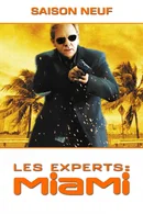 Affiche de Saison 9