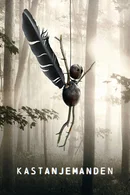 Affiche de Saison 1