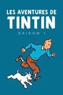Affiche de Saison 1
