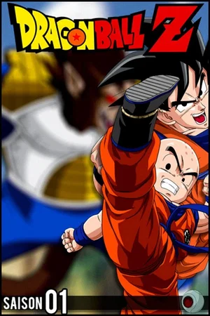 Photo de la saison 1 : Dragon Ball Z
