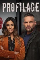 Affiche de Saison 9