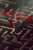 Affiche de Saison 1