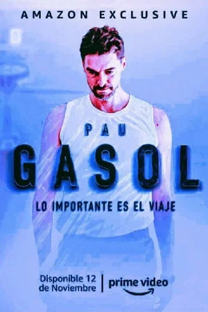 Affiche de Saison 1