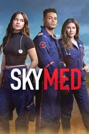 Affiche de Saison 1