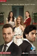 Affiche de Saison 1