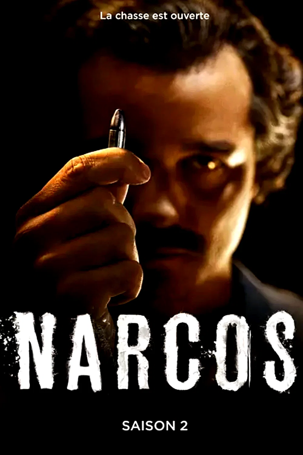 Photo de la saison 2 : Narcos
