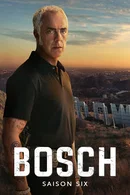 Affiche de Saison 6