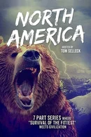 Affiche de Saison 1