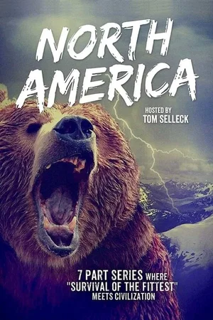Affiche de Saison 1