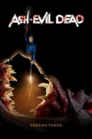 Affiche de Saison 3