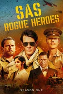 Affiche de Saison 1