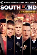 Affiche de Saison 5