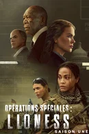 Affiche de Saison 1