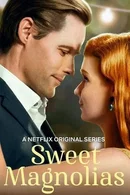 Affiche de Saison 1