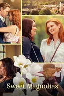 Affiche de Saison 2