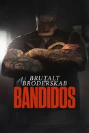 Affiche de Saison 1
