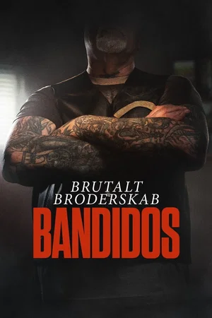 Affiche de Saison 1