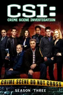 Affiche de Saison 3