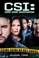 Affiche de Saison 4