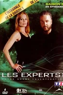 Affiche de Saison 5
