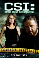 Affiche de Saison 6