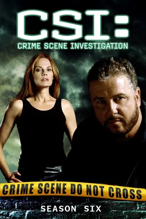 Affiche de Saison 6