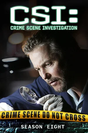 Affiche de Saison 8