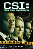 Affiche de Saison 9