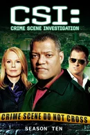 Affiche de Saison 10