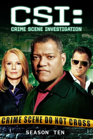 Affiche de Saison 10