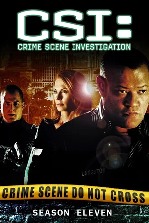 Affiche de Saison 11